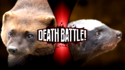 Detail Wolverine Vs Honey Badger Video Nomer 22