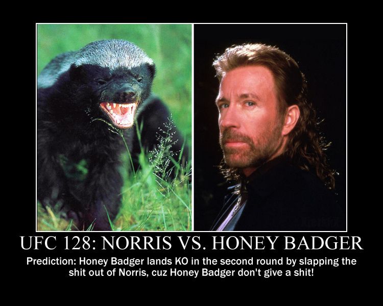 Detail Wolverine Vs Honey Badger Video Nomer 44