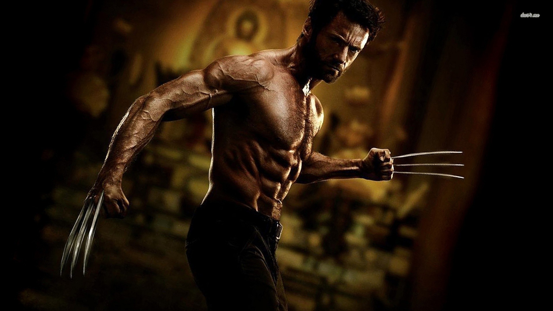 Detail Wolverine Wallpaper Hd Nomer 25