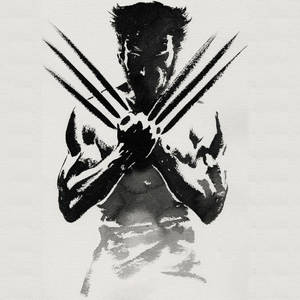 Detail Wolverine White Background Nomer 17