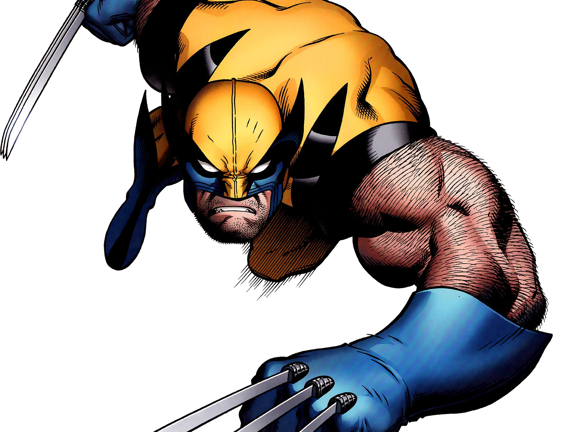 Detail Wolverine White Background Nomer 18