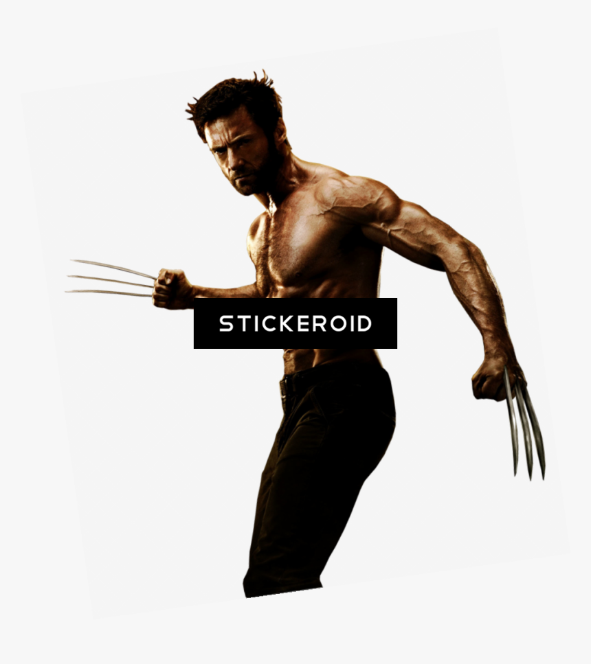 Detail Wolverine White Background Nomer 36