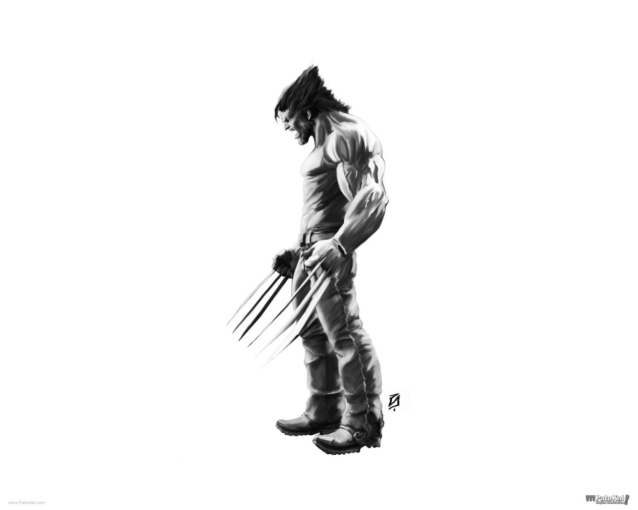 Detail Wolverine White Background Nomer 48