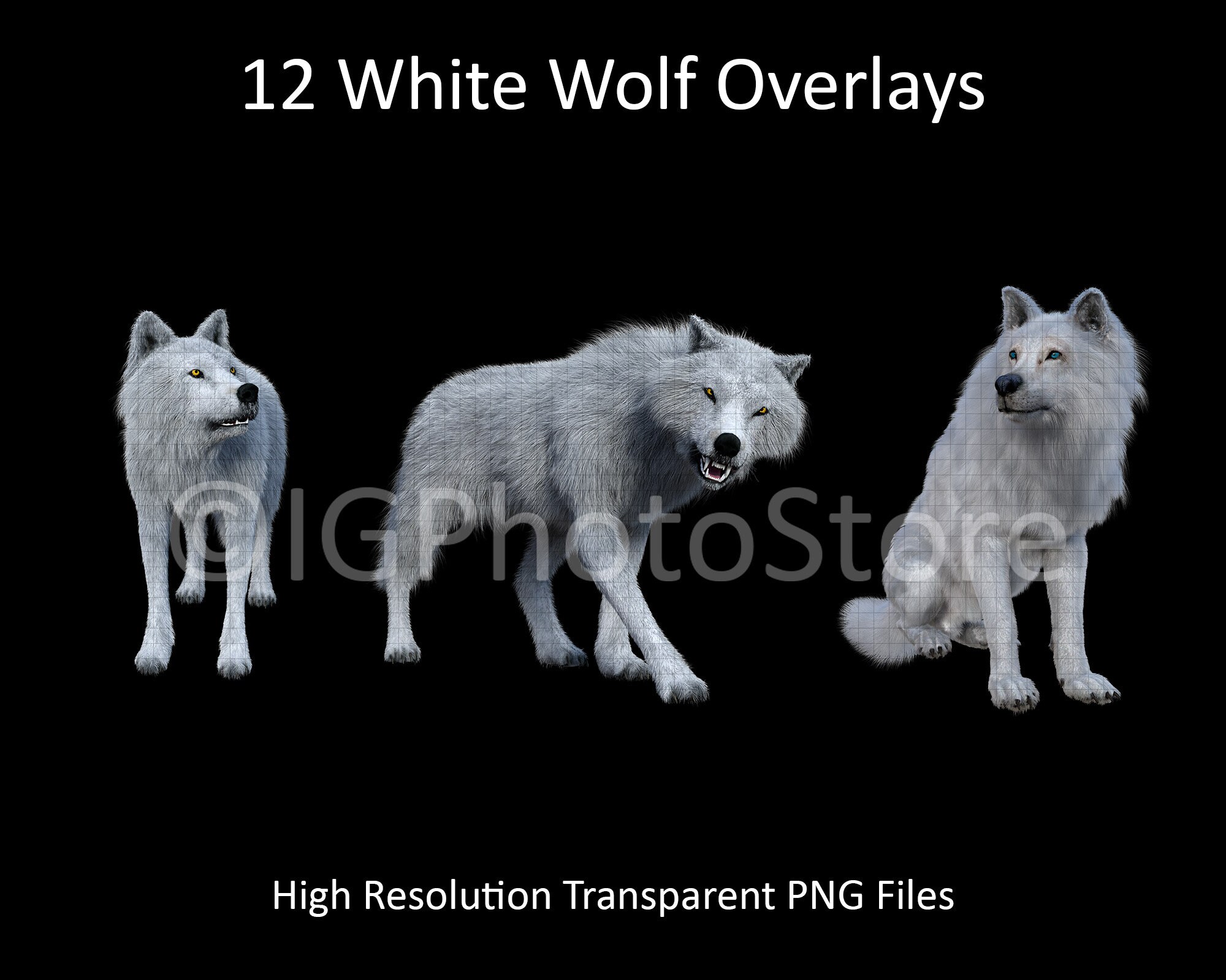 Detail Wolves Png Nomer 44