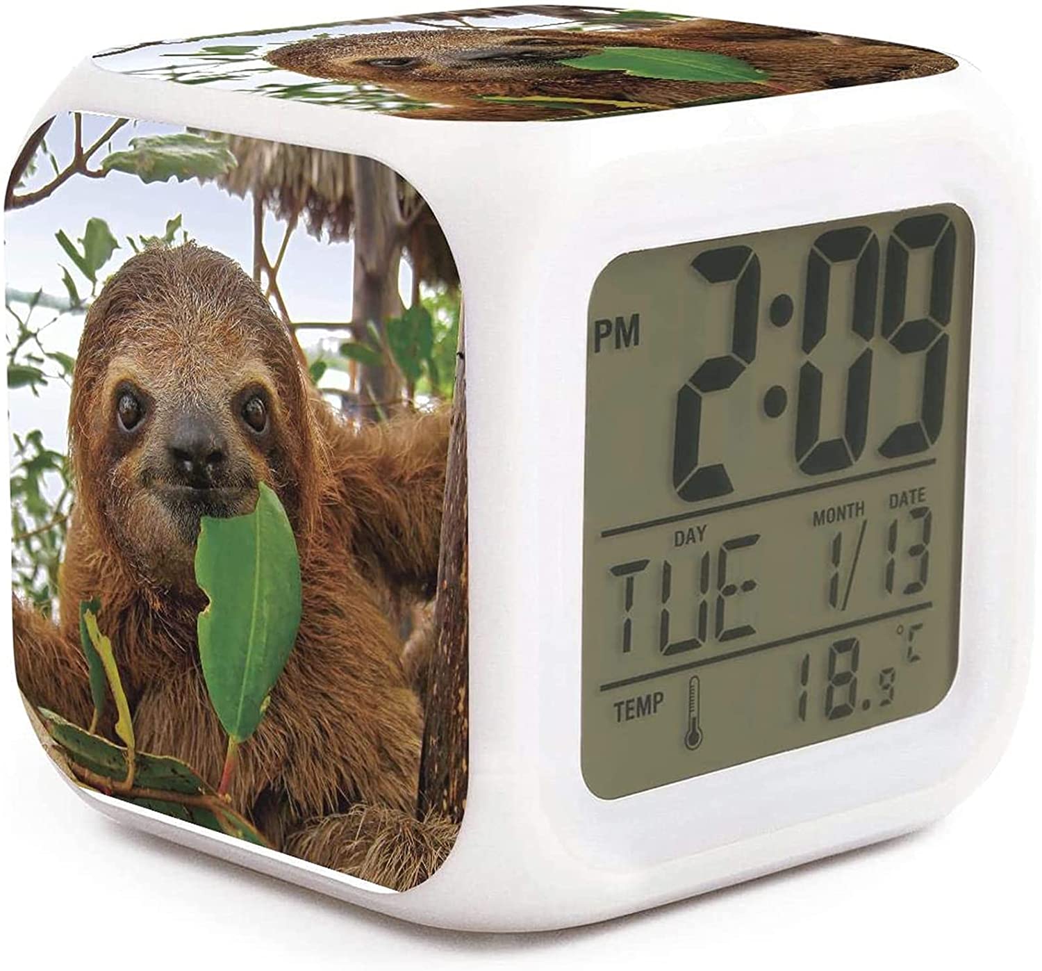 Sloth Alarm Clock - KibrisPDR