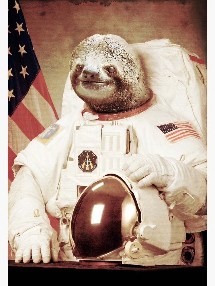 Detail Sloth Astronaut Nomer 3
