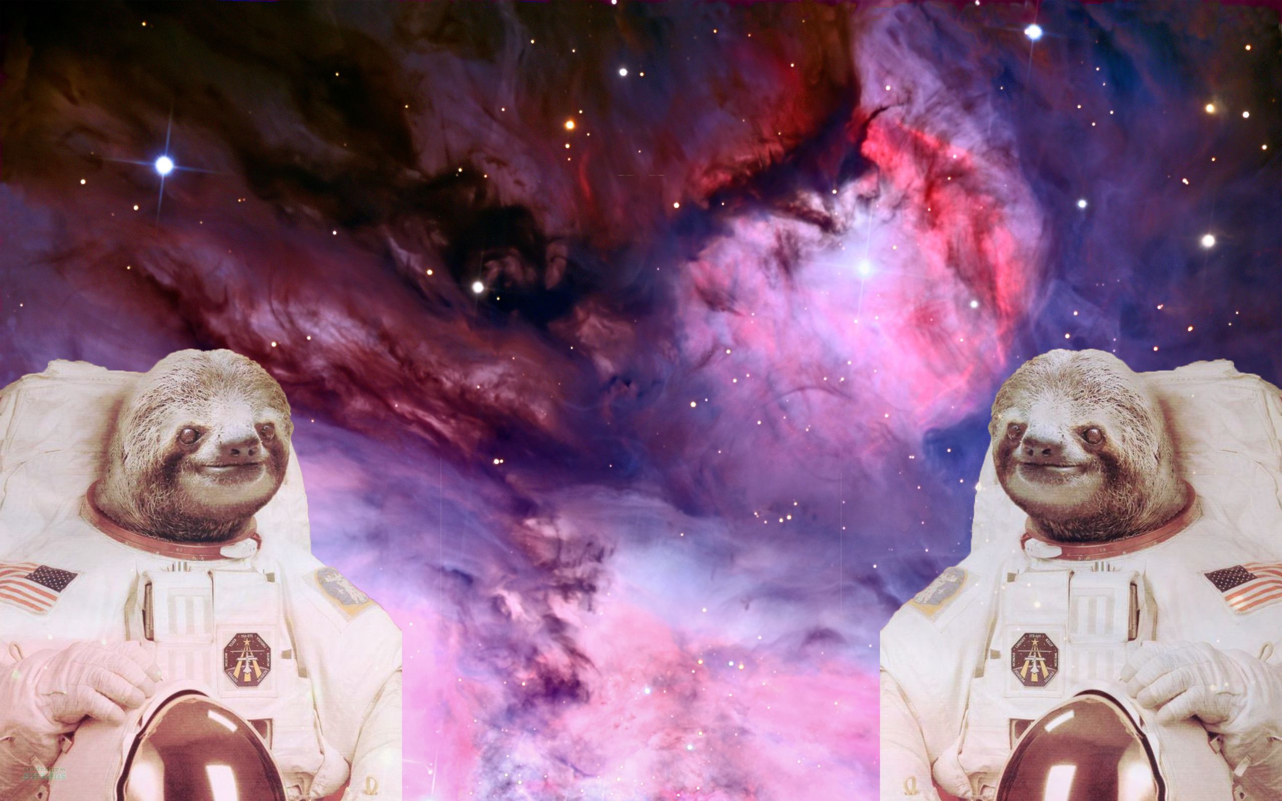 Detail Sloth Astronaut Nomer 21