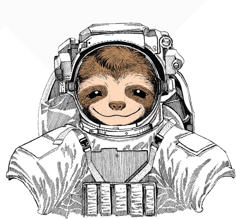 Detail Sloth Astronaut Nomer 22