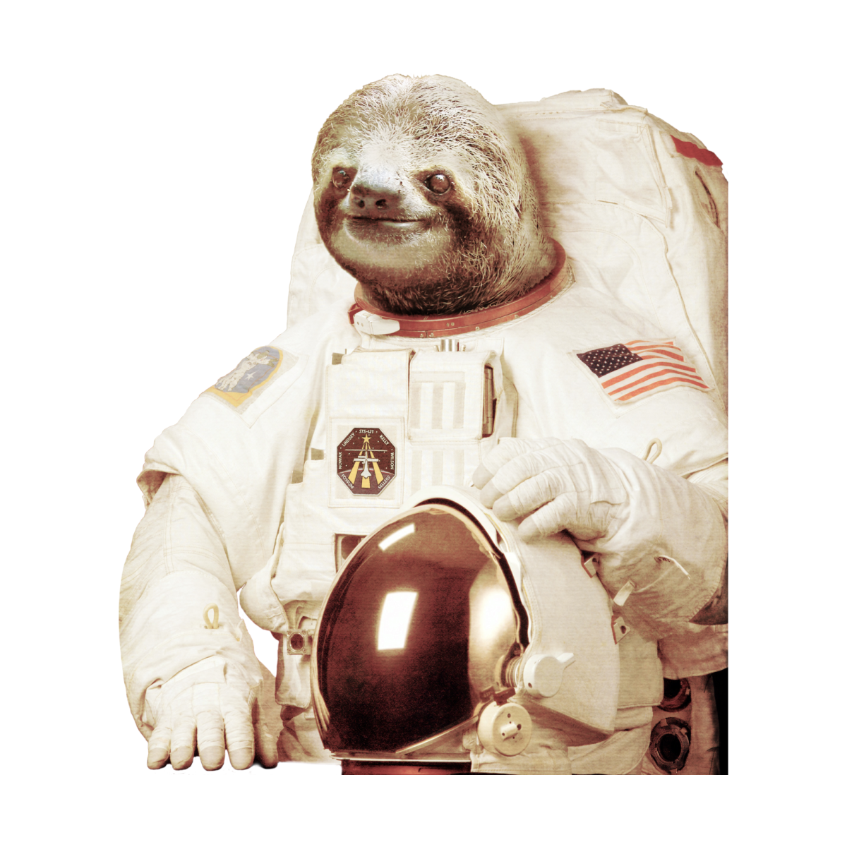 Detail Sloth Astronaut Nomer 30