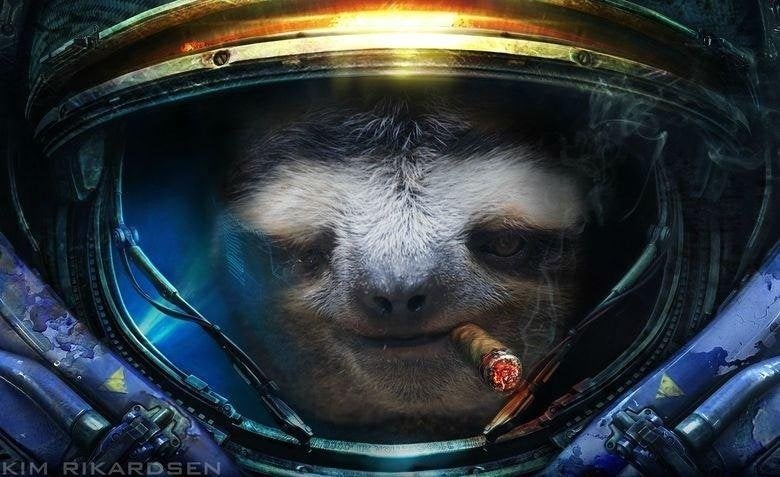 Detail Sloth Astronaut Nomer 31