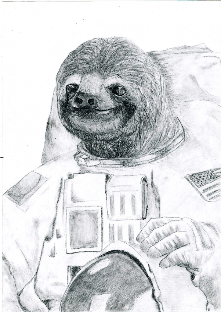 Detail Sloth Astronaut Nomer 48