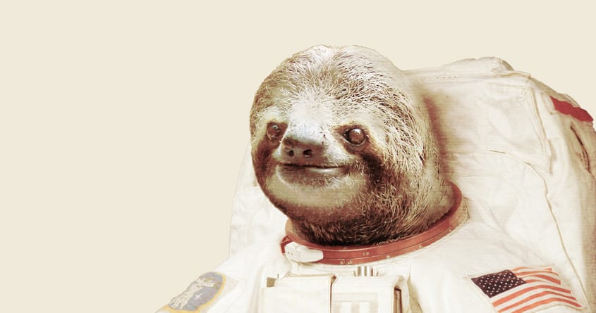 Detail Sloth Astronaut Nomer 9