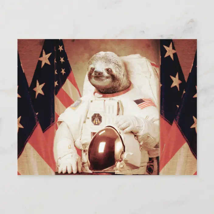 Detail Sloth Astronaut Nomer 10