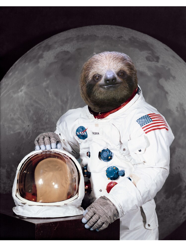 Detail Sloth Astronaut Facebook Cover Nomer 13