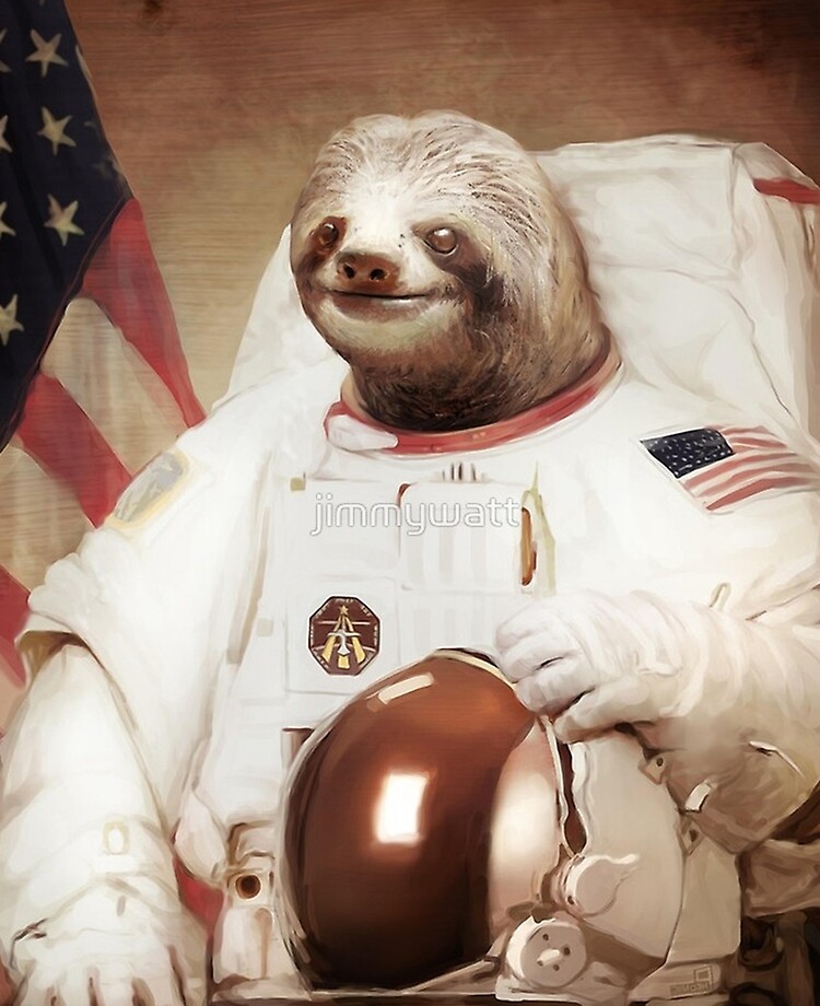 Detail Sloth Astronaut Facebook Cover Nomer 16