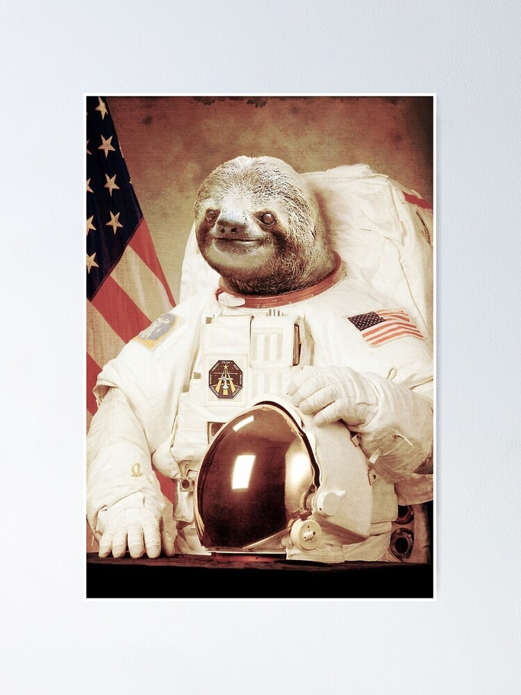 Detail Sloth Astronaut High Resolution Nomer 21