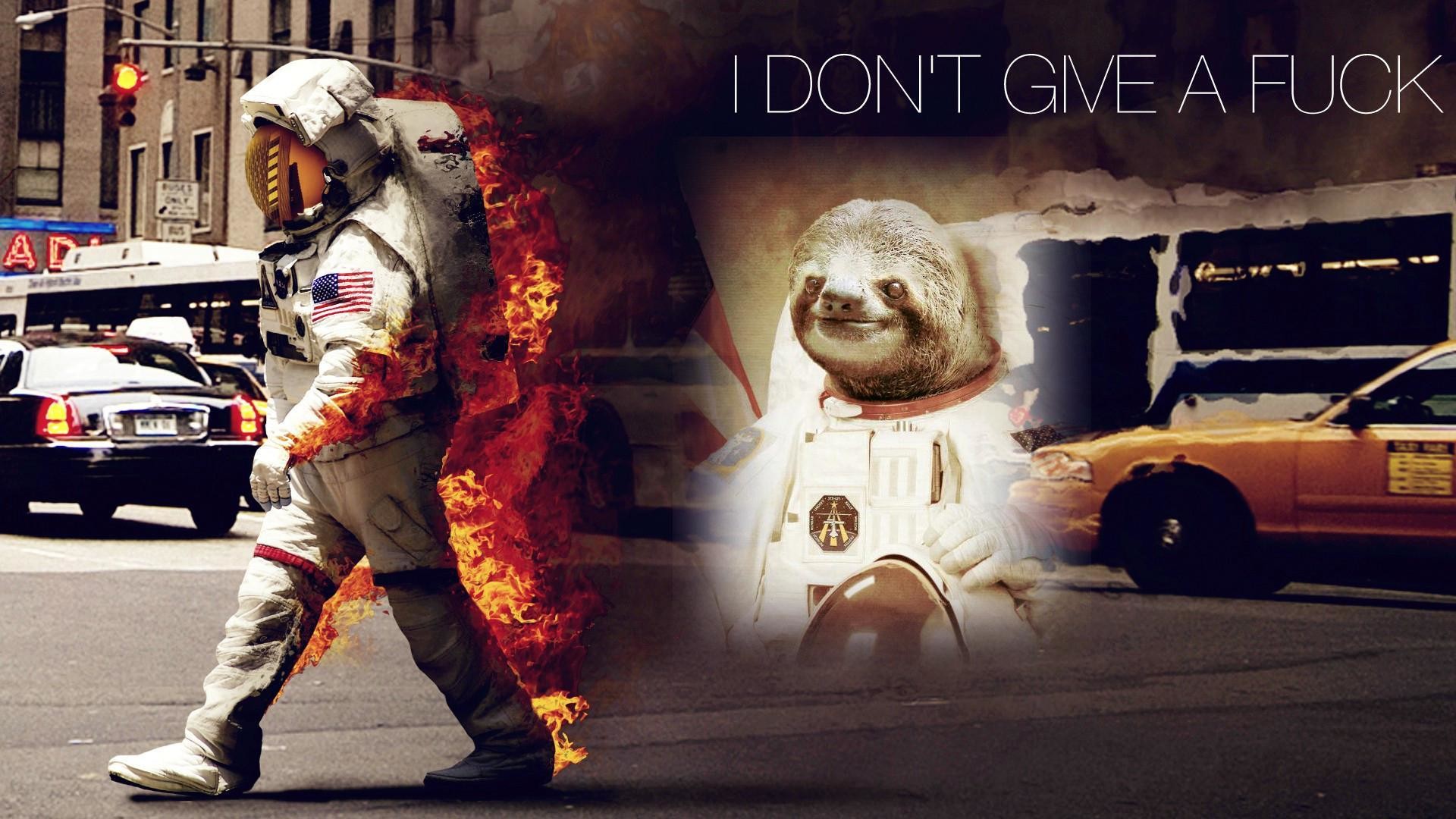 Detail Sloth Astronaut High Resolution Nomer 37