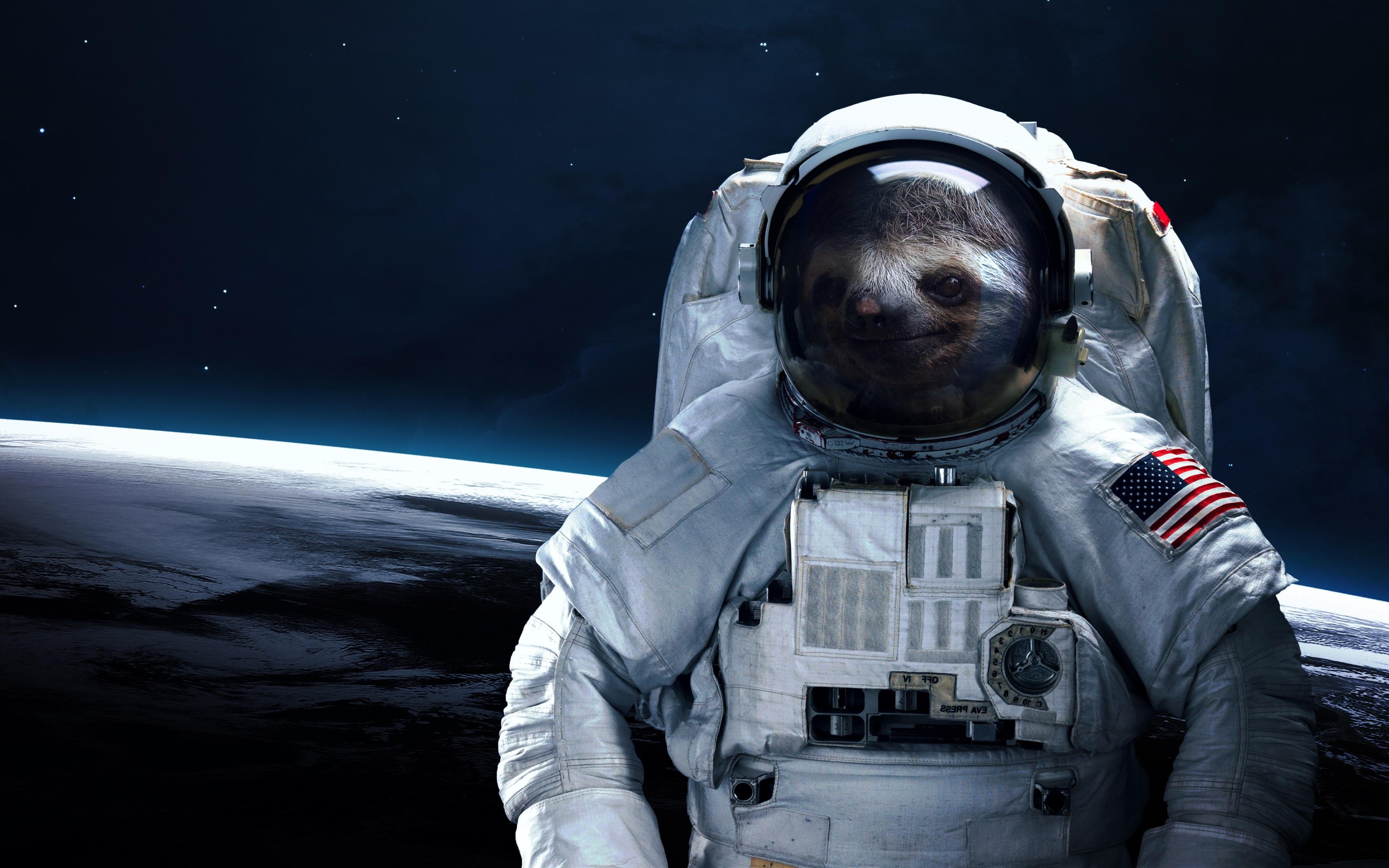 Detail Sloth Astronaut High Resolution Nomer 6