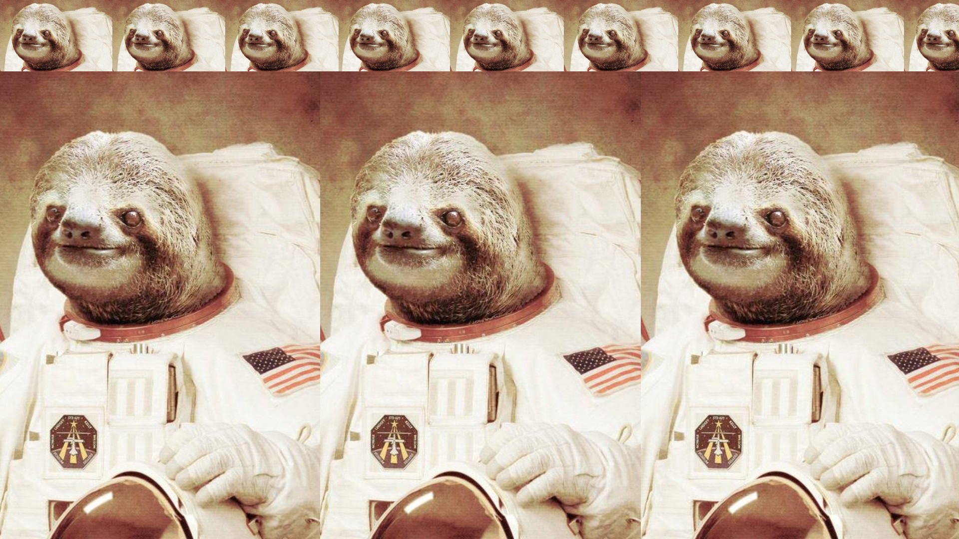 Detail Sloth Astronaut High Resolution Nomer 10