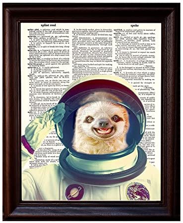 Detail Sloth Astronaut Poster Nomer 34