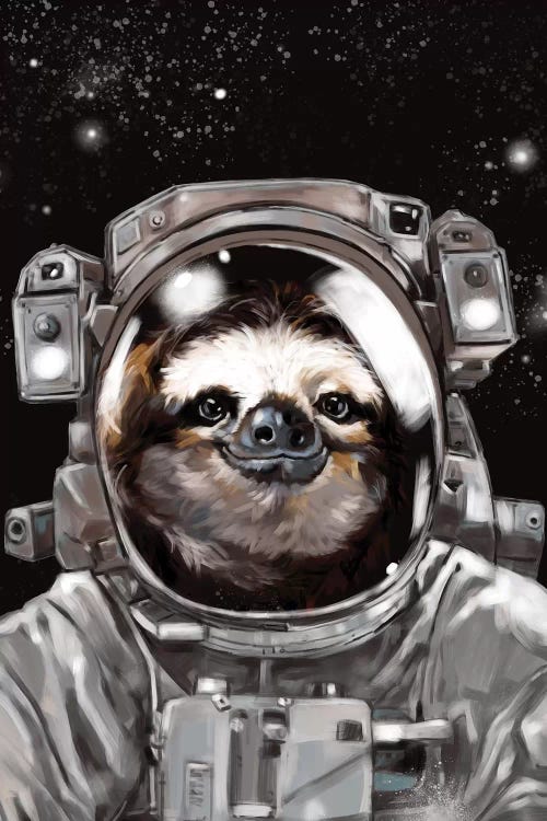 Detail Sloth Astronaut Poster Nomer 58