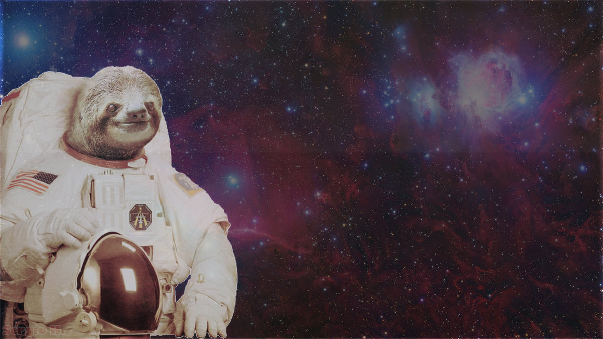 Detail Sloth Astronaut Wallpaper Nomer 5