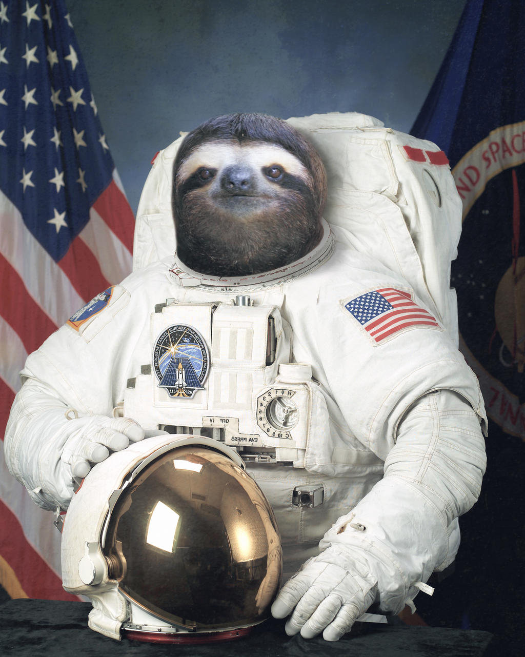 Detail Sloth Astronaut Wallpaper Nomer 42