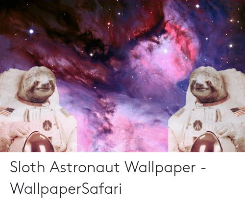 Detail Sloth Astronaut Wallpaper Nomer 51