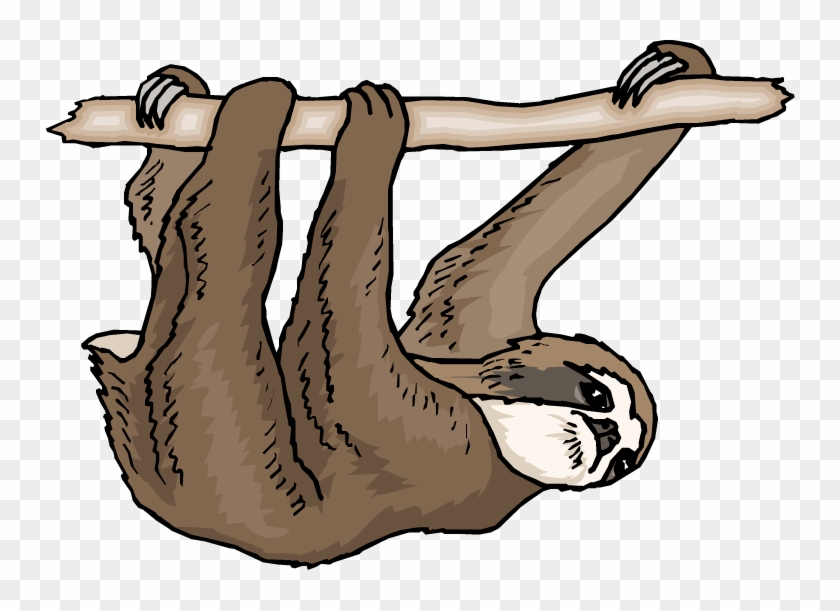 Detail Sloth Clipart Png Nomer 16