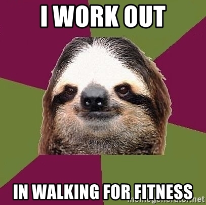 Detail Sloth Fitness Meme Nomer 11