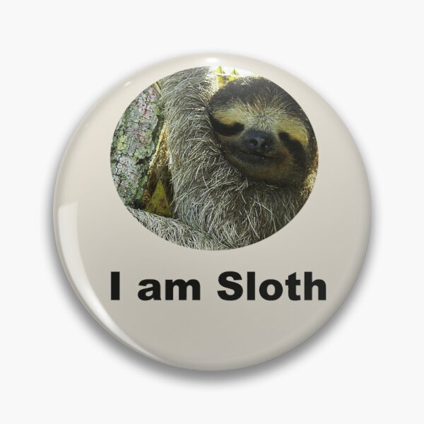 Detail Sloth Fitness Meme Nomer 45