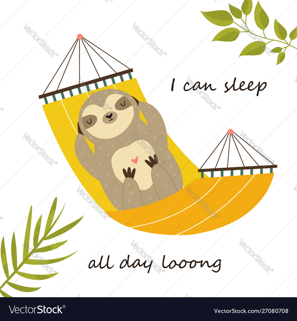 Detail Sloth Hammock Nomer 12