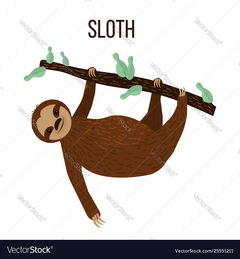Detail Sloth Hammock Nomer 50