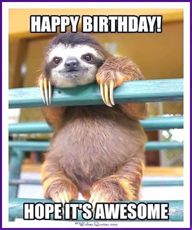 Sloth Happy Birthday Meme - KibrisPDR