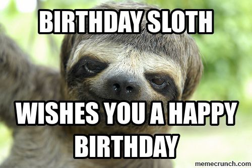 Detail Sloth Happy Birthday Meme Nomer 15