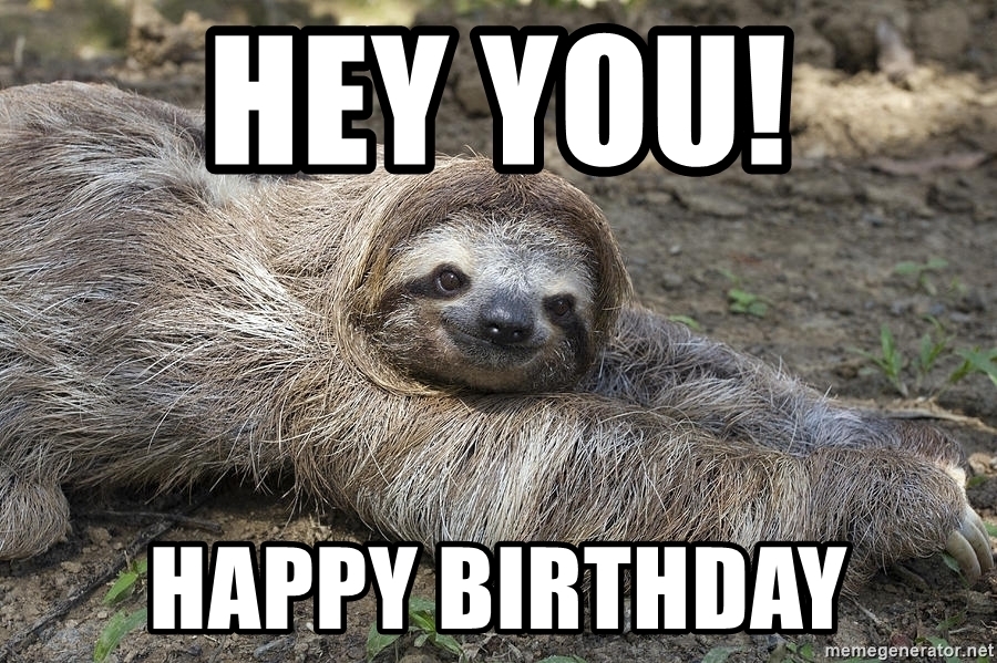 Detail Sloth Happy Birthday Meme Nomer 17