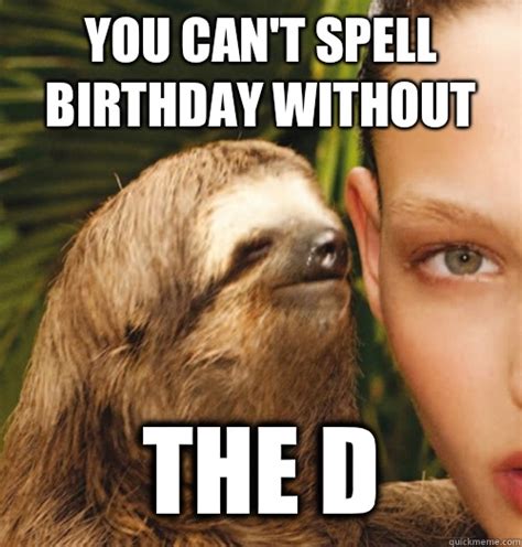 Detail Sloth Happy Birthday Meme Nomer 19