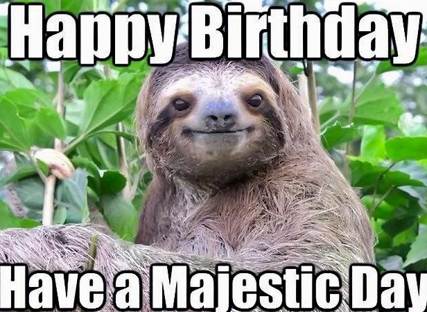 Detail Sloth Happy Birthday Meme Nomer 5