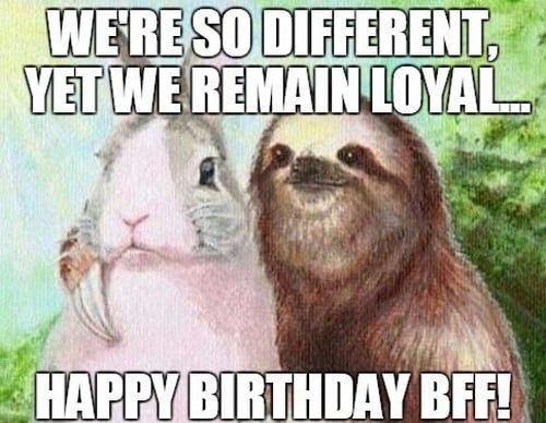 Detail Sloth Happy Birthday Meme Nomer 36