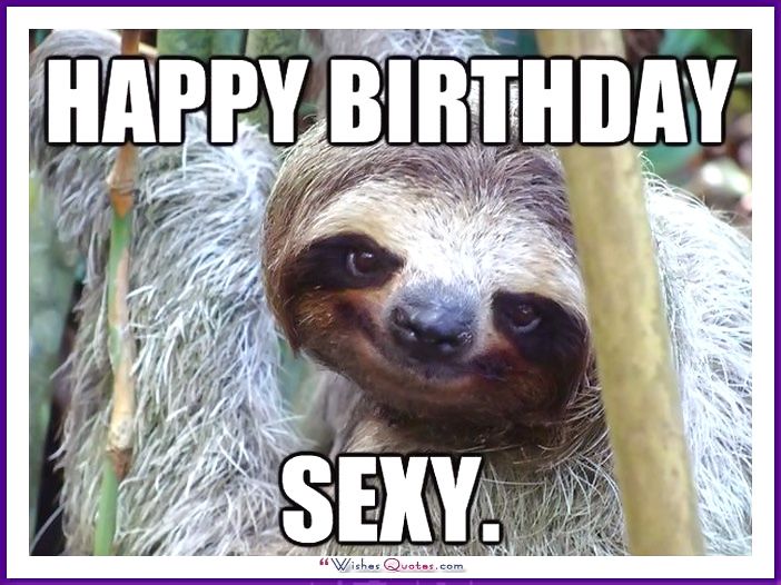 Detail Sloth Happy Birthday Meme Nomer 8