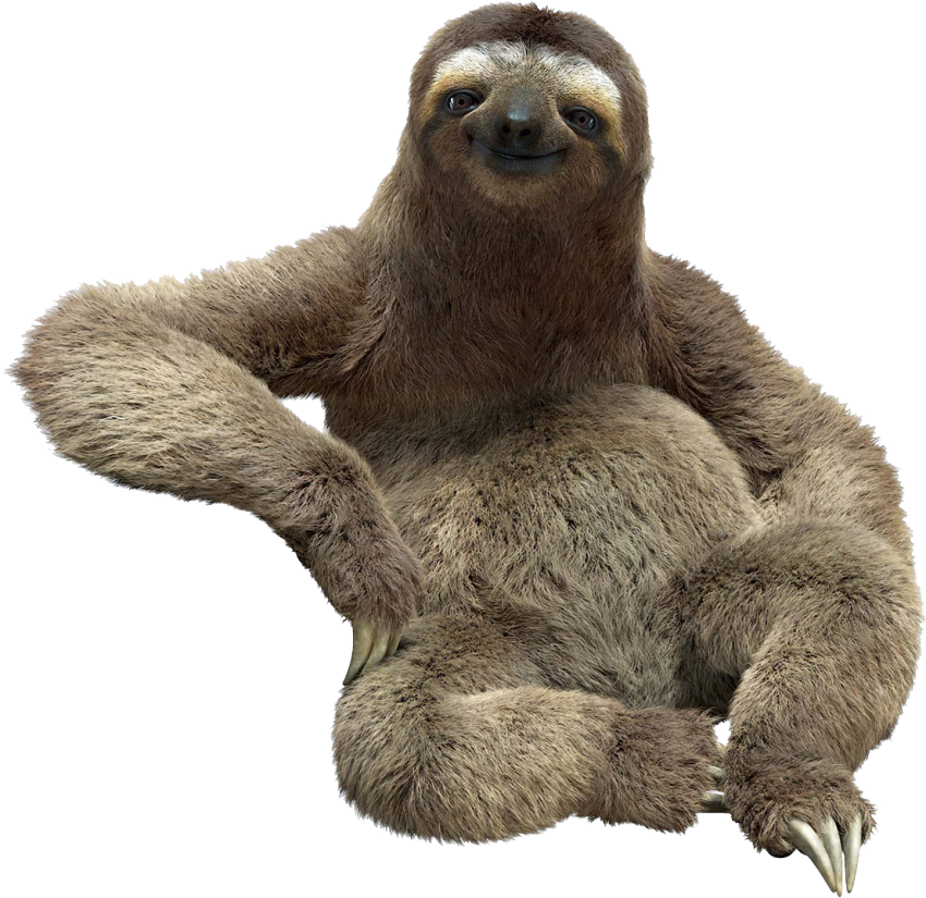 Detail Sloth Images Free Nomer 21