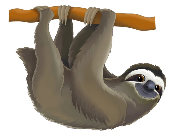 Detail Sloth Images Free Nomer 34