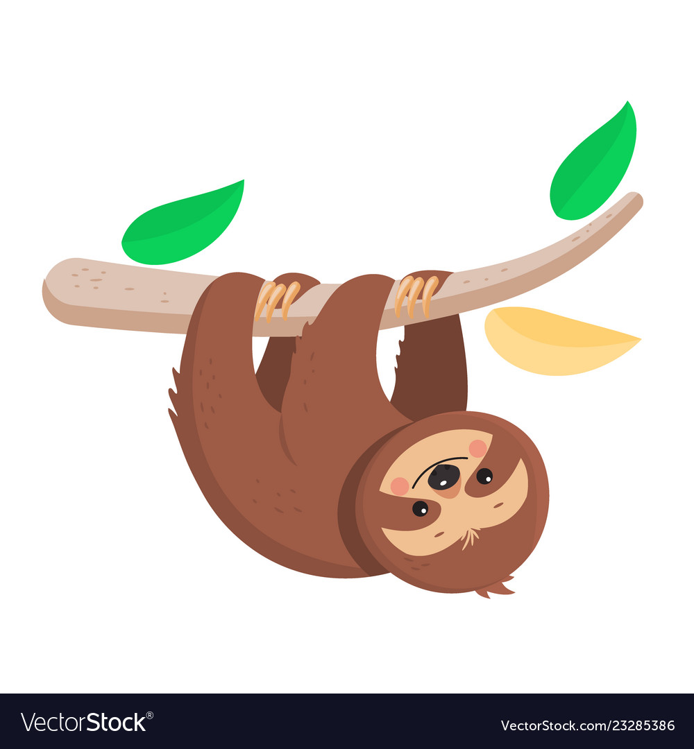 Detail Sloth Images Free Nomer 42
