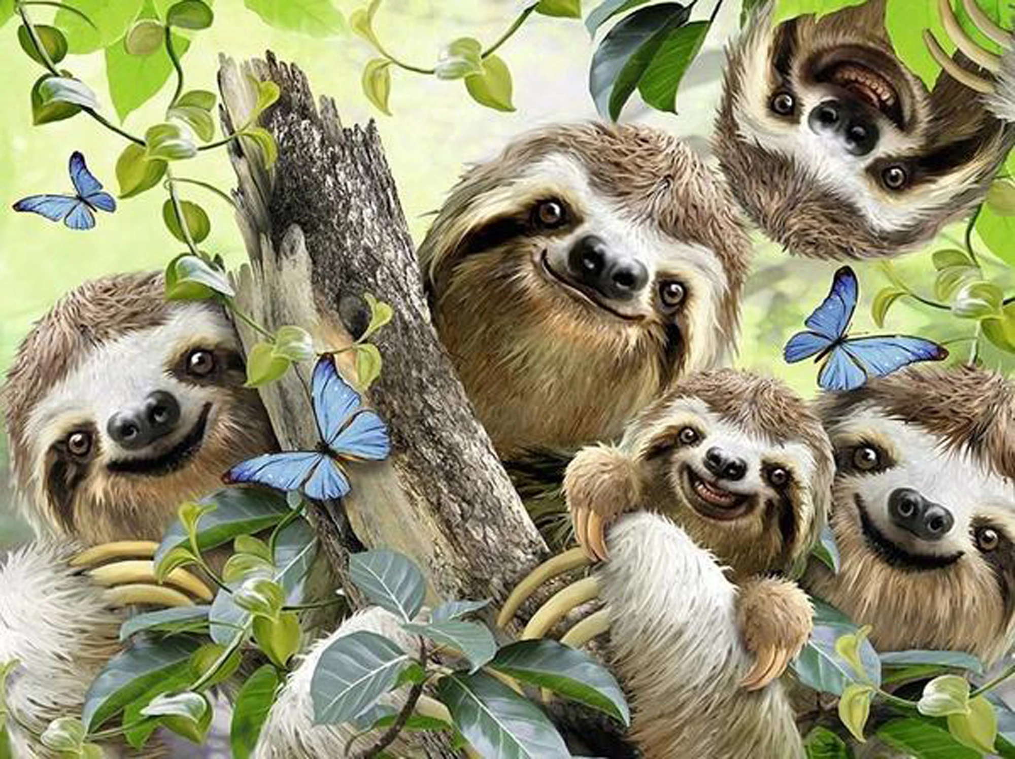 Detail Sloth Images Free Nomer 43