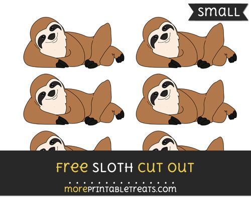 Detail Sloth Images Free Nomer 56