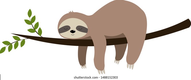 Detail Sloth Images Free Nomer 8