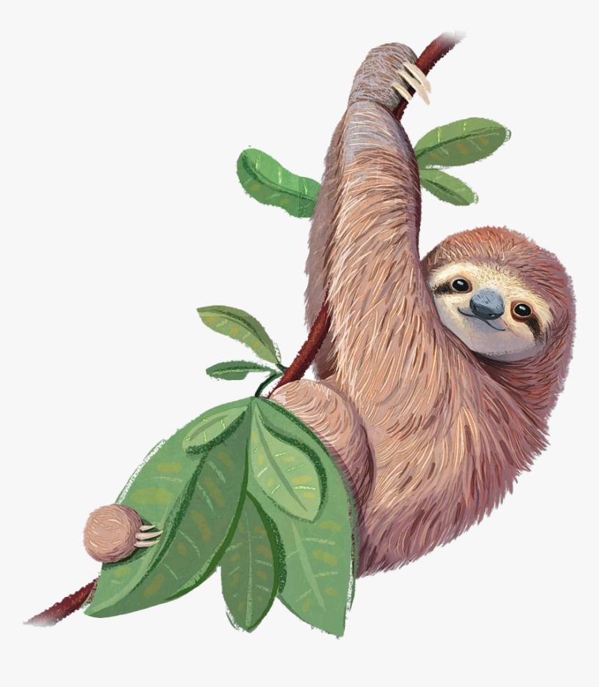 Detail Sloth Images Free Nomer 10