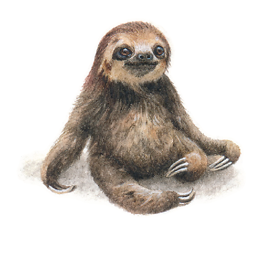 Detail Sloth No Background Nomer 49