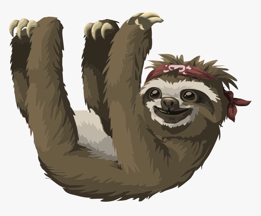 Detail Sloth No Background Nomer 53