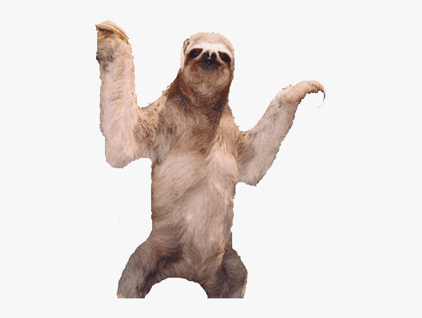 Detail Sloth No Background Nomer 8